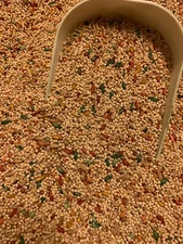 Higgins imperial parakeet diet food seed mix millets food parakeet diet bird 