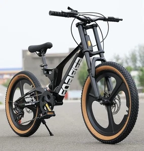 Mountain Bike MTB Ultra Light Magnesium Alloy 10 To 15 Years Old Variable Spd