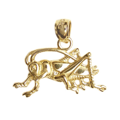 Neu 14k Gold Kricket Insekt Anhänger