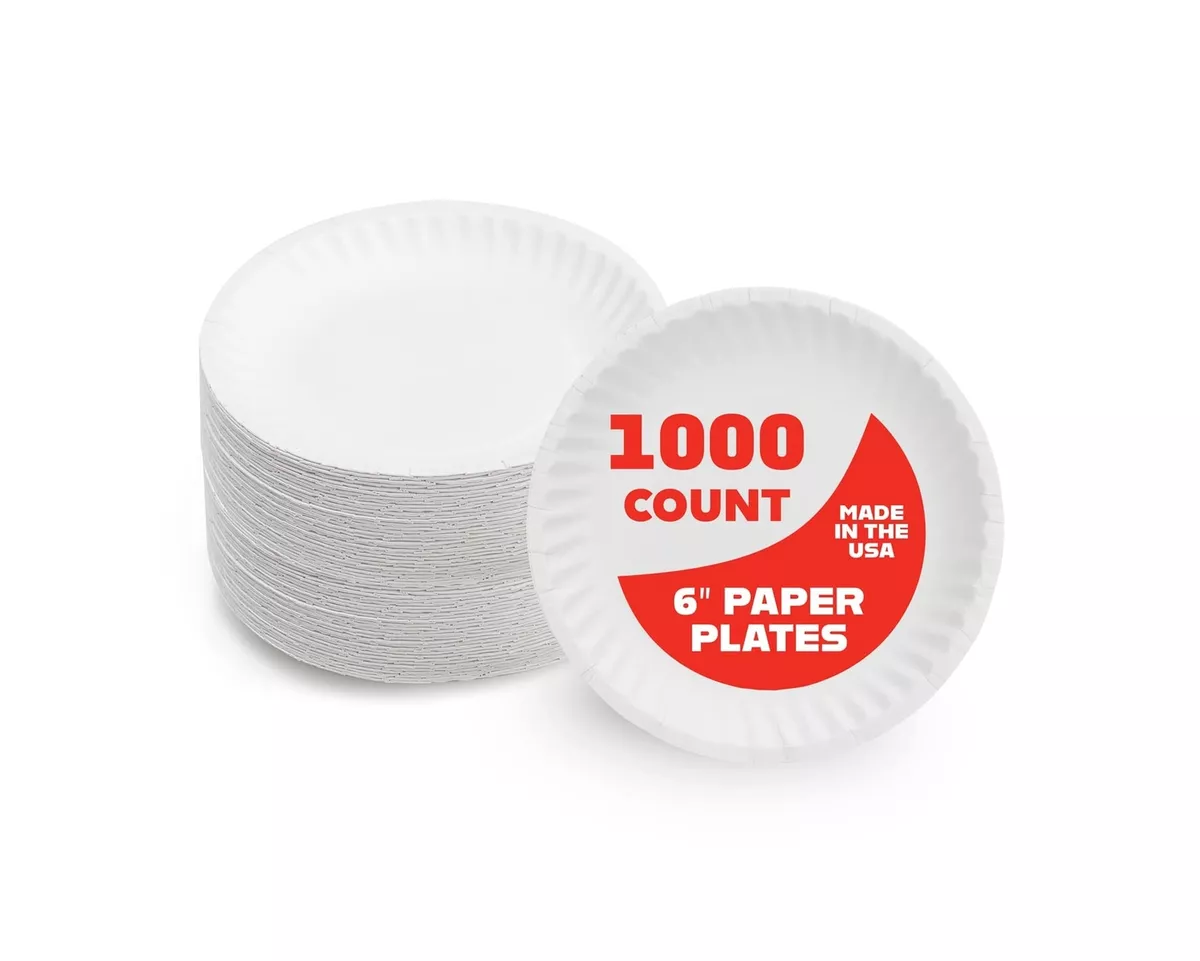 Paper 2024 plates bulk