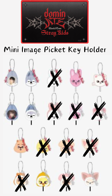 Stray Kids DominATE World Tour Japan Mini Picket Key Holder SKZ | eBay