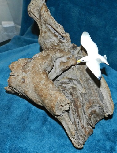 2 SEAGULLS ON DRIFT WOOD BURL!! NAUTICAL! - Imagen 3 de 8