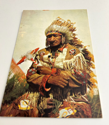An Old Indian Chief Native American Theme Postcard