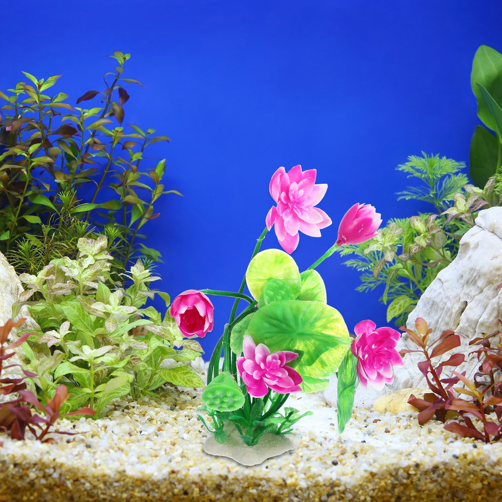 1pcs Pesciera Acquario Decorazioni Piante PE Ceramica Piante Decorazione 8,27" foto 6