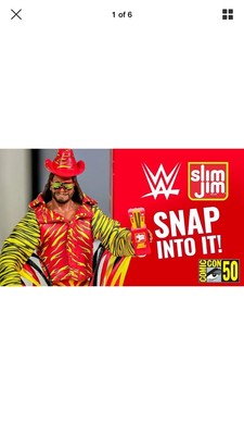 macho man randy savage slim jim action figure