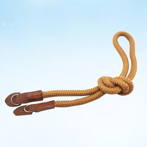 Weaver Licou De Corde N°95 – 10′ Lead Inclus – Cuir Bleu Sarcelle/Marron/Argent/Blanc – Taille Moyenne – Résistant à L’Usure