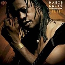Habib Koite & Bamada - Afriki CD
