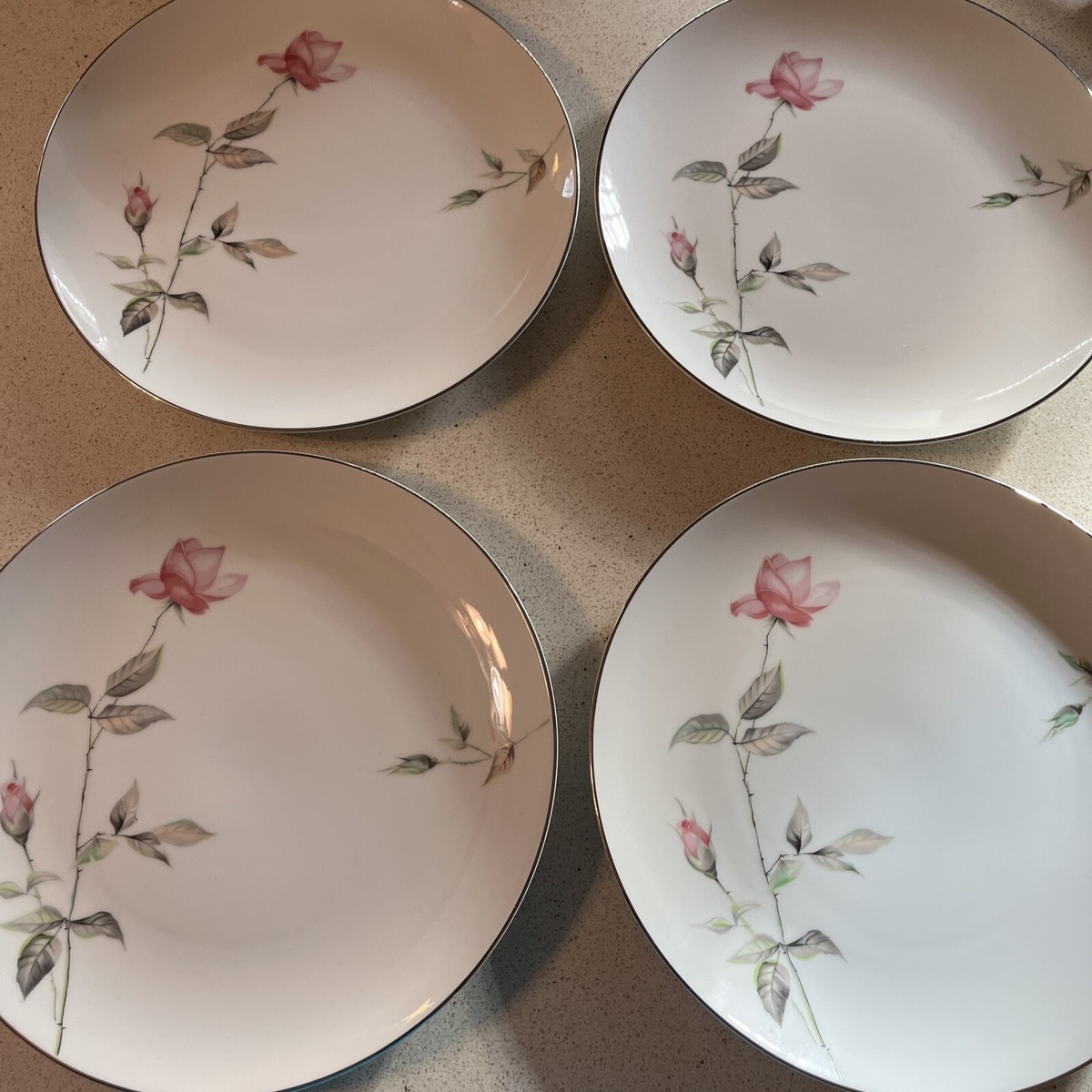 Dinner Plates 10-3/8