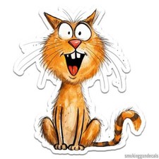 Funny Orange Cat, Vinyl Decal Sticker, Indoor Outdoor, 3 Sizes, 12360