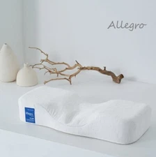 Kanuda Blue Label Allegro FullBody Care Double Set/Memory Foam Cervical Pillow