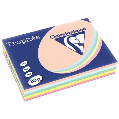 CLAIREFONTAINE Kopierpapier Mix Pack A4 80g pastell farbig sortiert 5x100 Blatt