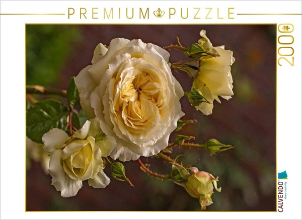 Calvendo Puzzle Enchanting Roses | 2000 Pieces, Finished Size 35.4 × 26.4 In (90-image