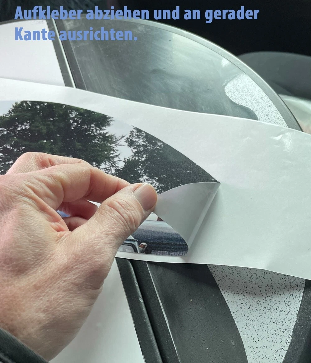 Bild 6 von 7