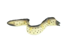 Moray Eel Toy, Realistic Hand Painted Rubber Saltwater Model, 9" CH791 BB186