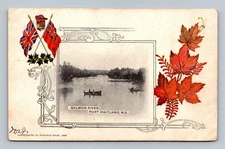 1905 Salmon River Port Maitland NS Canada Vintage Postcard Atkinson Bros
