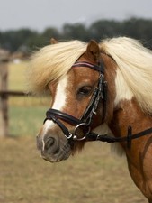 Busse Trense Little Größe Shetty Farbe  schwarz ,pink unterlegt