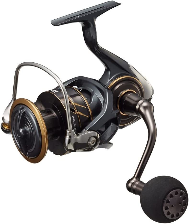 Daiwa Spinning Reel Casting Shore Jigging Jigging Caldia SW 2022 