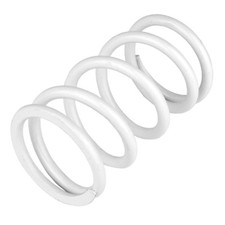 Primary Drive Clutch Almond Spring For Polari...