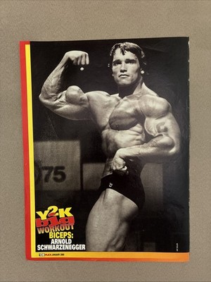 Arnold Schwarzenegger Bodybuilding Muscle Posing Photo Page Taken From Magazine
