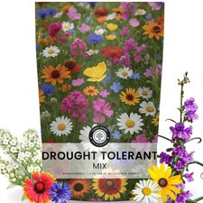 Drought Tolerant Mix – 90,000 Seeds for Planting – 2026 Season – 4 4 Ounces  163.72 per gallon