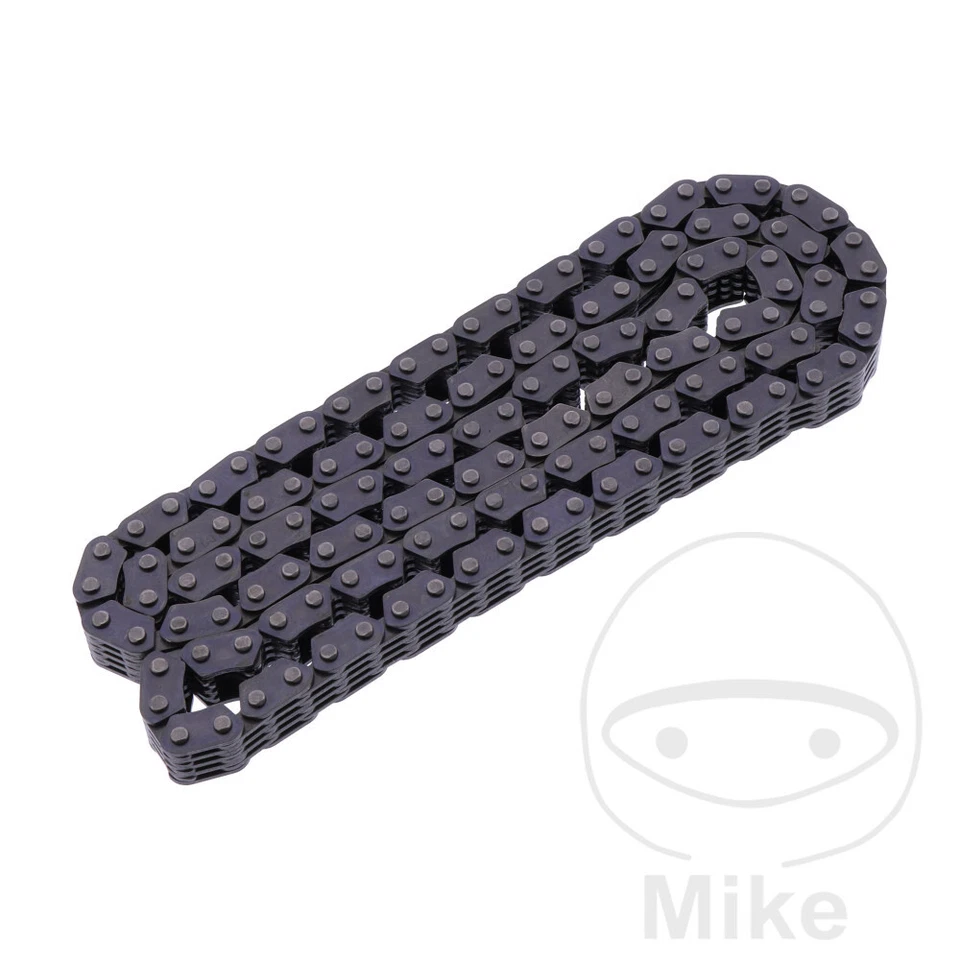 Cadena de cámara sin fin BorgWarner se adapta a Triumph Daytona 955 i brazo oscilante de dos caras 2002 Foto 2 de 2