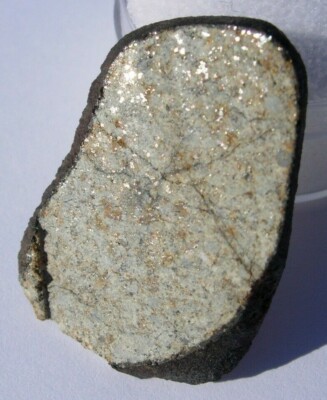 Vinales meteorite slice 4.295 grams 30x21x4mm COA melt with shock
