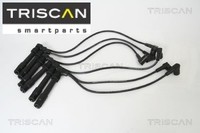 Triscan 886029007 ZüNdleitungssatz ZüNdkabelsatz ZüNdkabel
