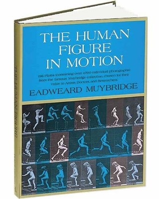 The Human Figure in Motion (Dover Anatomy for  by Muybridge, Eadweard 0486202046