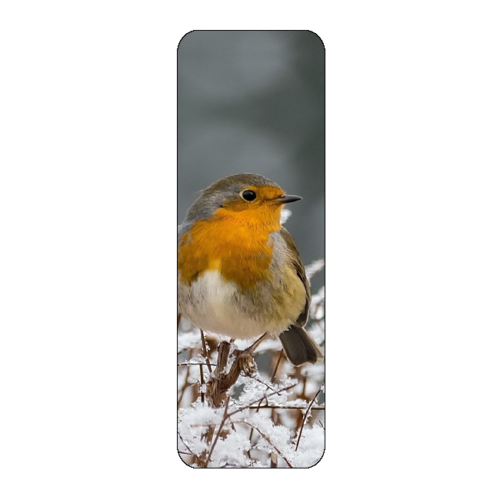 Robin Bird Snow Bookmark Novelty Gift - Afbeelding 1 van 1