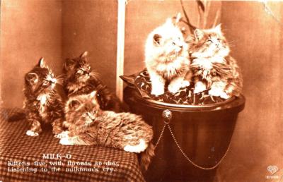 K26.Vintage Postcard. Five Kittens listening for the milkman. Milk-O