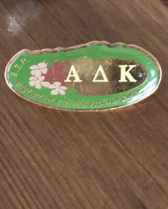 Alpha Delta Kappa Sorority Pin S.E.R. Reflections Of Mountain Memories