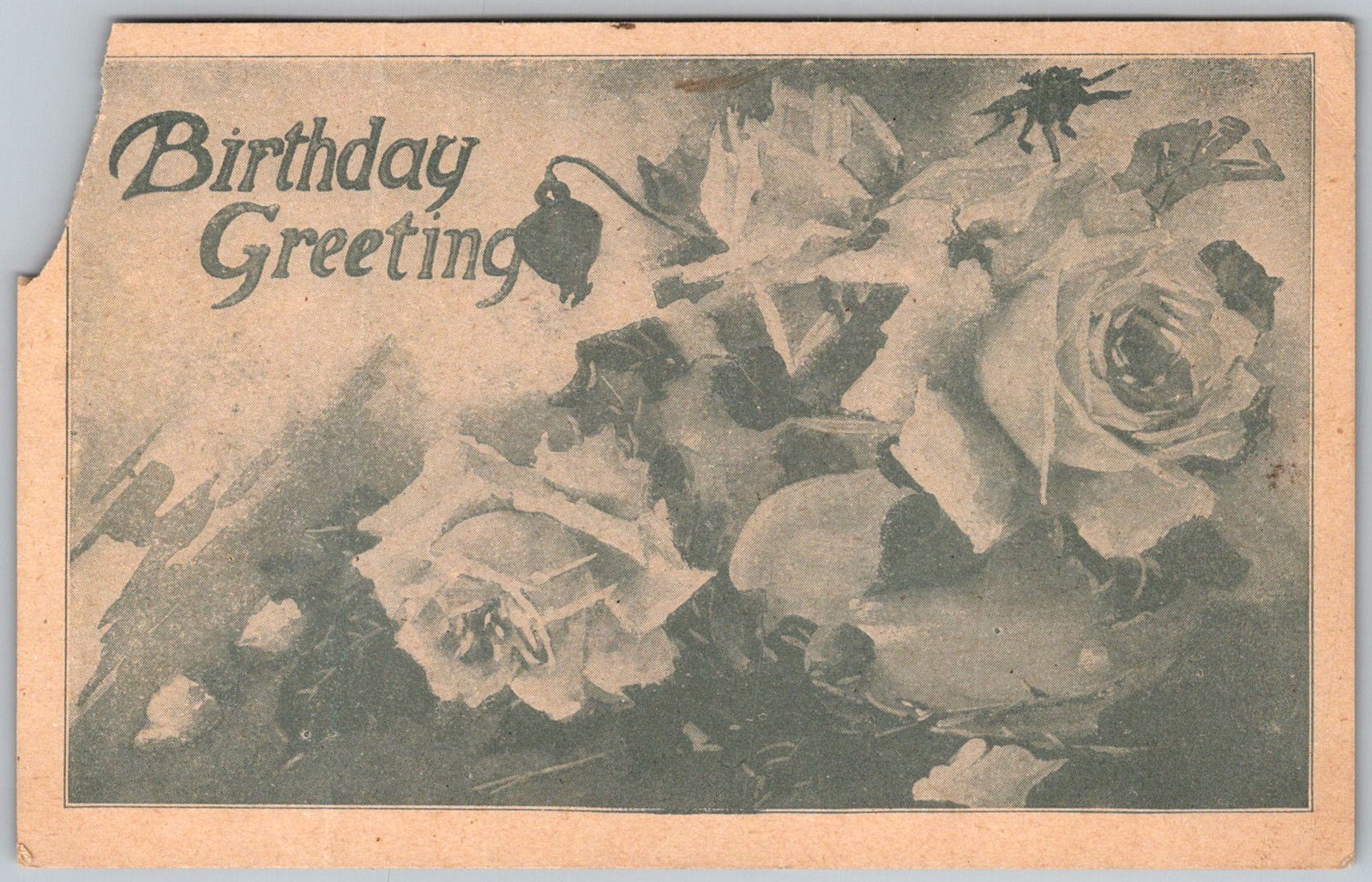 Antique Postcard Birthday Greeting Roses 1910s