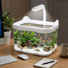 Creative Clear Fish Tank Mini Aquarium Fish Breeding Tank For Desktop Decoration