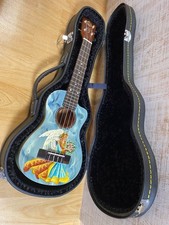  New and unused Ukulele concert unbranded paint with hard case