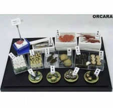 Orcara Re-ment Seafood Market Dollhouse Miniatures Full set of 8