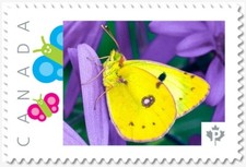 BUTTERFLY = Moth = Yellow ** Picture Postage MNH Canada 2019 p19-02-sn13