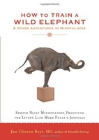 How To Train A Wild Elephant: And Other Adventures In Mindfulness By Jan Chozen on sale How To Train A Wild Elephant: And Other Adventures In Mindfulness By Jan Chozen on sale