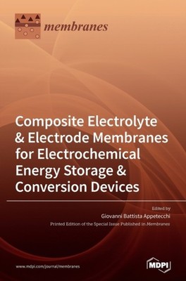Appetecchi - Composite Electrolyte  Electrode Membranes for Electroch - X555z