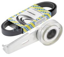 SNR KEILRIPPENRIEMEN-SATZ passend für CITROËN BERLINGO EVASION XANTIA XSARA ZX 