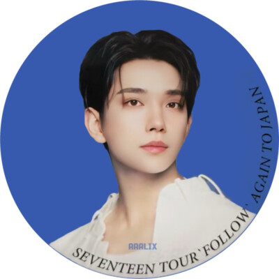 Kpop SEVENTEEN Follow Chest Pins Round Badge SVT | eBay