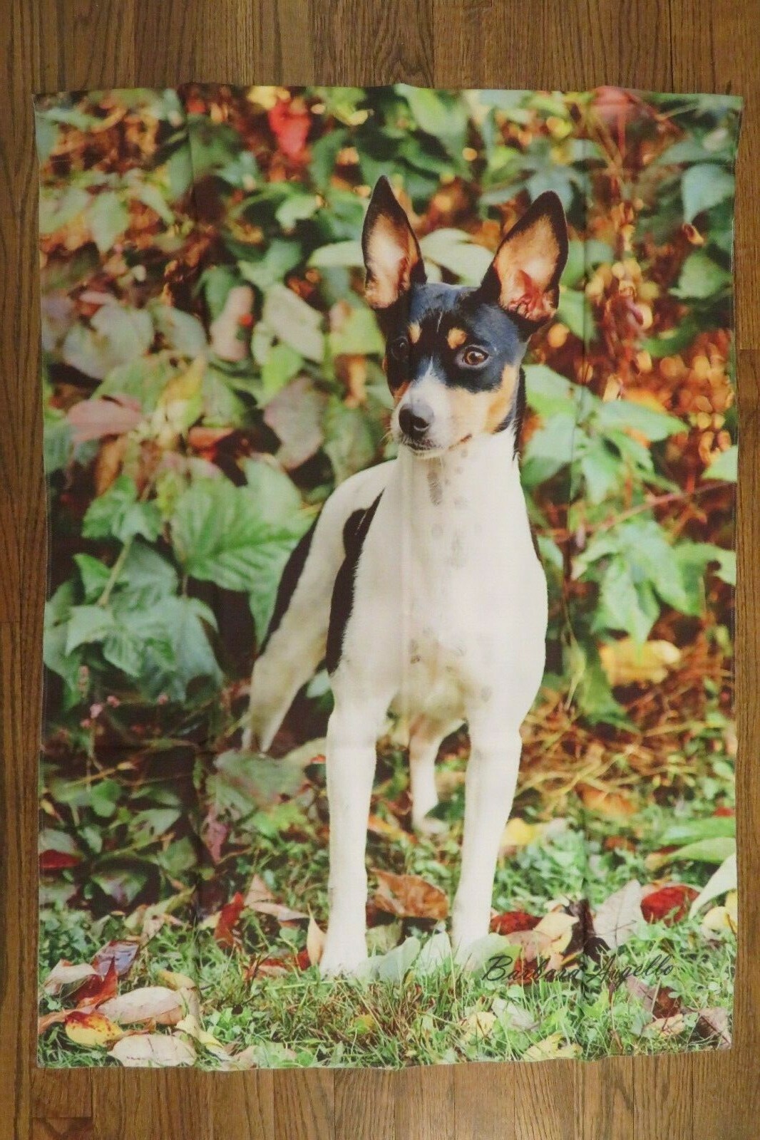 Are Rat Terriers Good Hunting Dogs