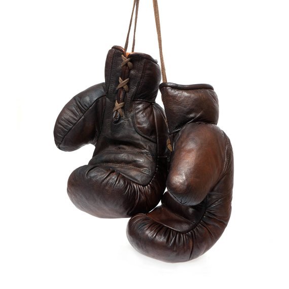 Боксерские перчатки Ozon
