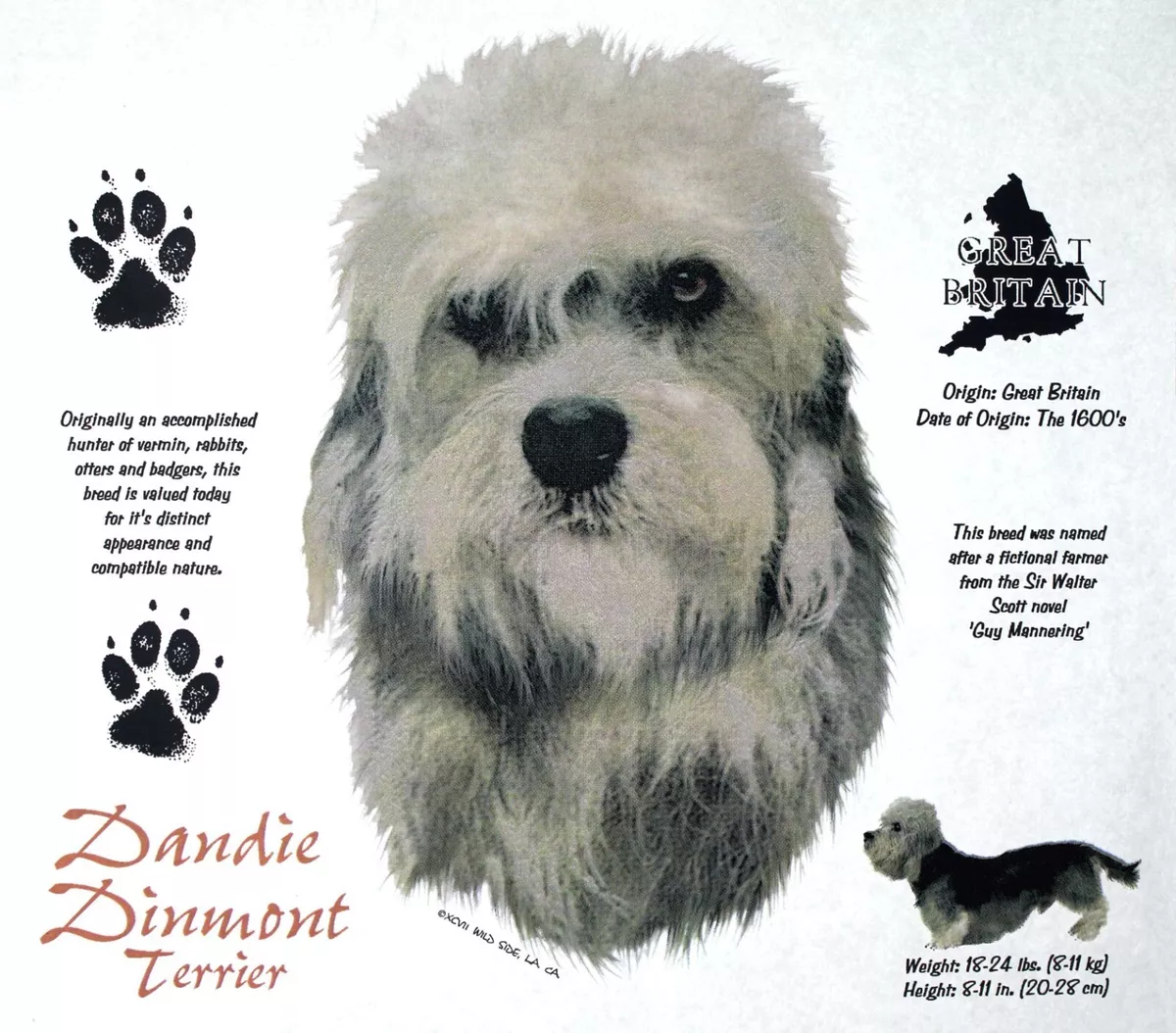 Dandie Dinmont Terrier Dog Breed History New T Shirts Free