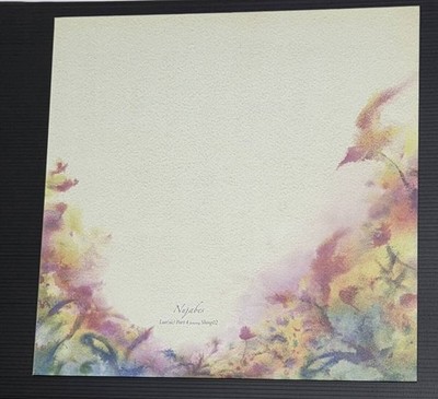 Nujabes Featuring Shing02 / Luv(sic) Part 4 2011 Limited Vinyl