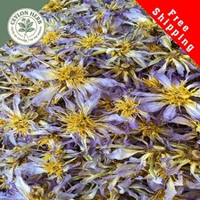 Dried Rare Real Egyptian Blue Lotus Flower Nymphaea nouchali var.caerulea Ceylon