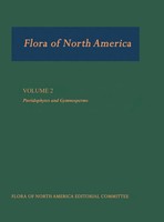 Flora Of North America | Morin | Buch | Gebunden | Englisch | 2013 | Academic