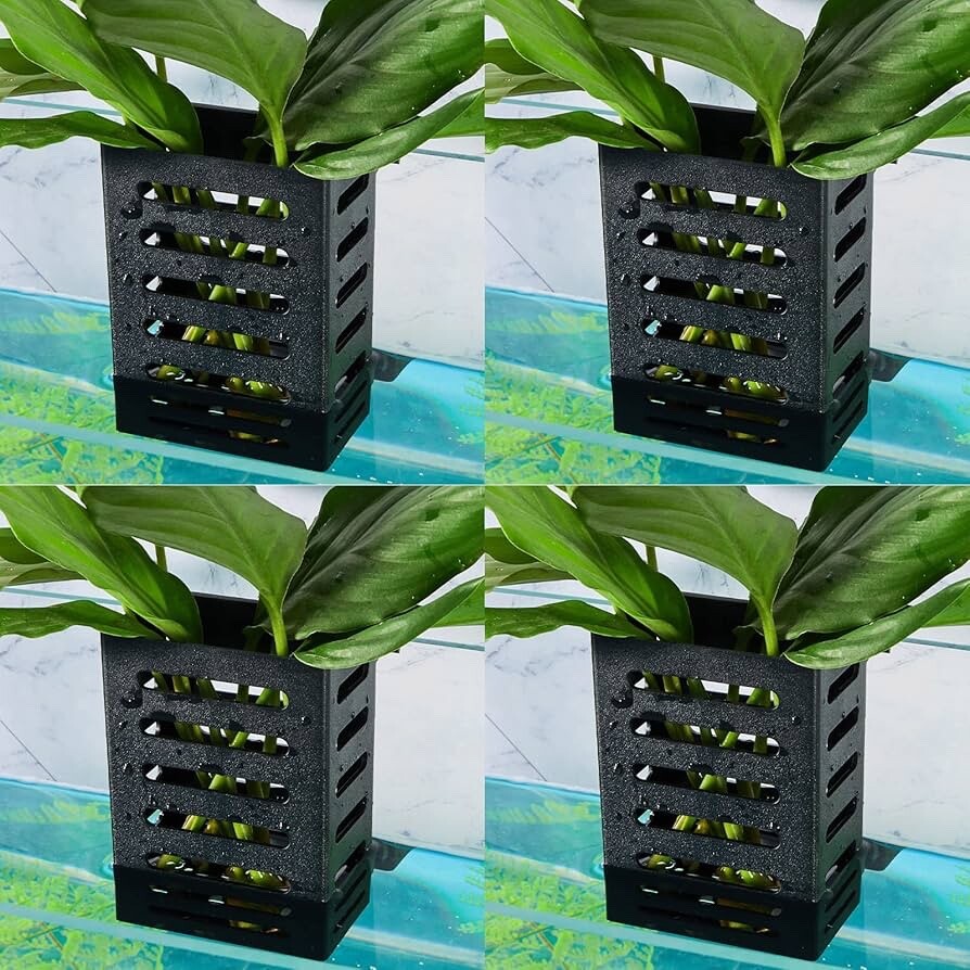 Porta Piante Acquario Idroponico per Decorazione Funzione Acqua 1/4pz Prezzo consigliato £10-15