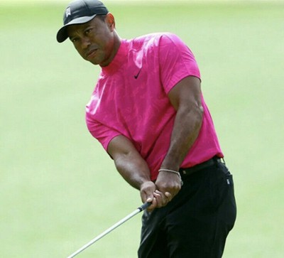 Nike Tiger Woods Dri-FIT ADV Mock Neck 