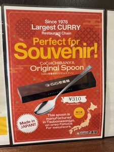 Coco Ichibanya Spoon | eBay