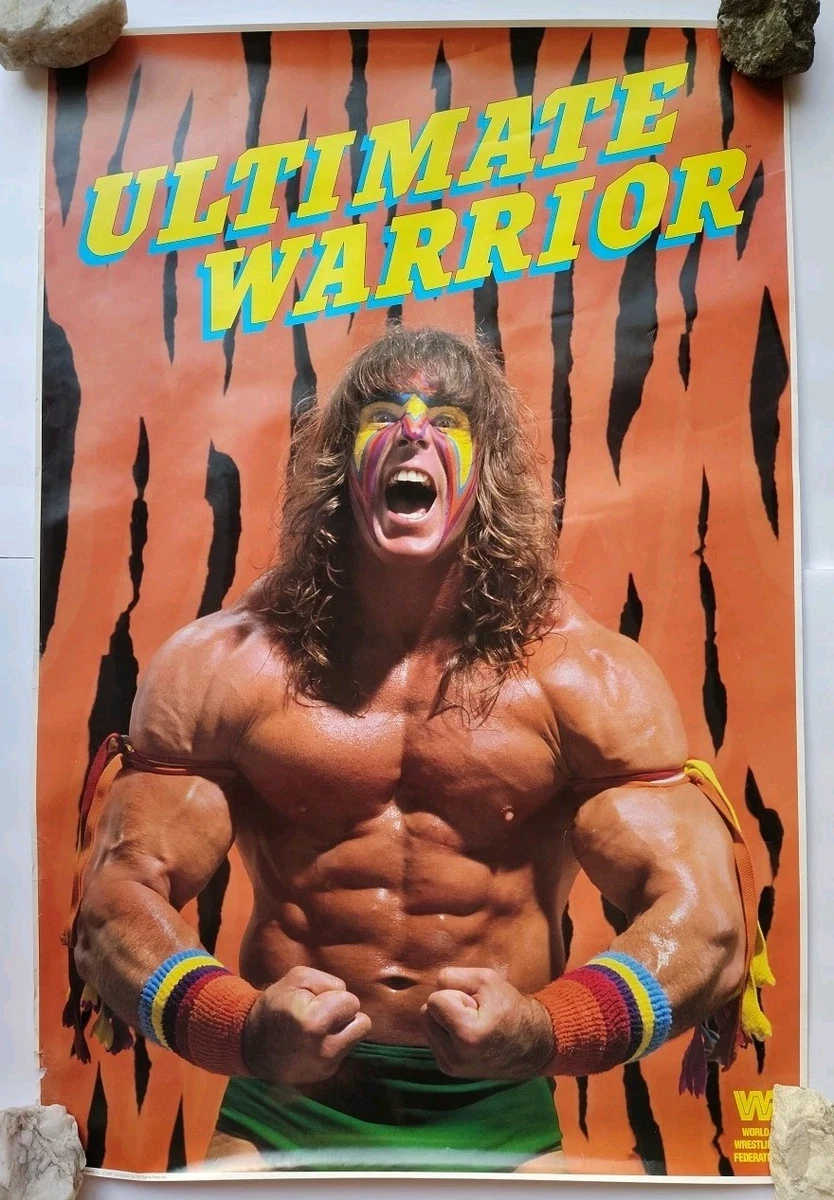 Hot hogan warrior Hot Sale Anatomy of a Disaster Hulk Hogan vs. Ultimate Warrior